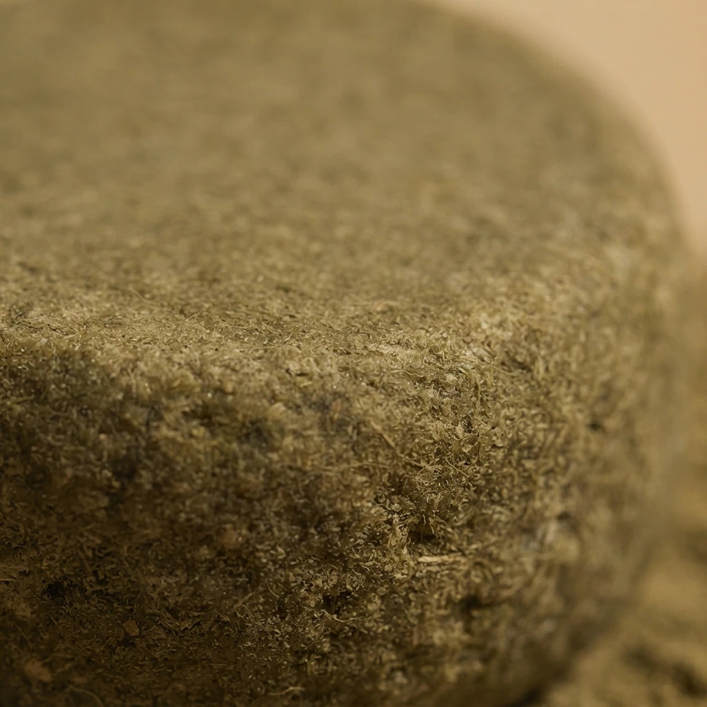 Gros plan de la surface granuleuse d’un shampoing solide vert olive